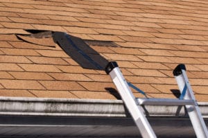 Roof Repair in Florida